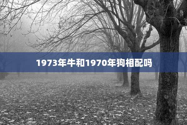 1973年牛和1970年狗相配吗
