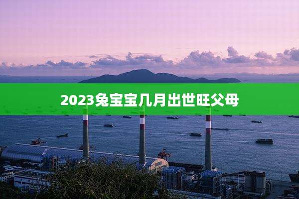 2023兔宝宝几月出世旺父母