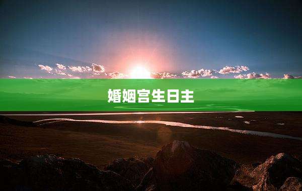 婚姻宫生日主