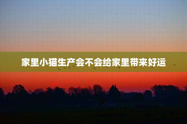 家里小猫生产会不会给家里带来好运