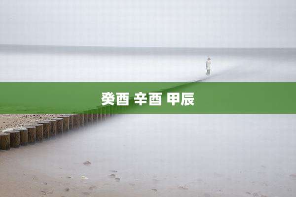 癸酉 辛酉 甲辰