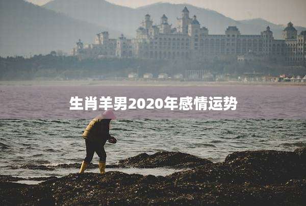 生肖羊男2020年感情运势