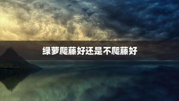 绿萝爬藤好还是不爬藤好