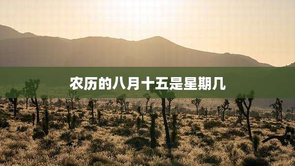 农历的八月十五是星期几