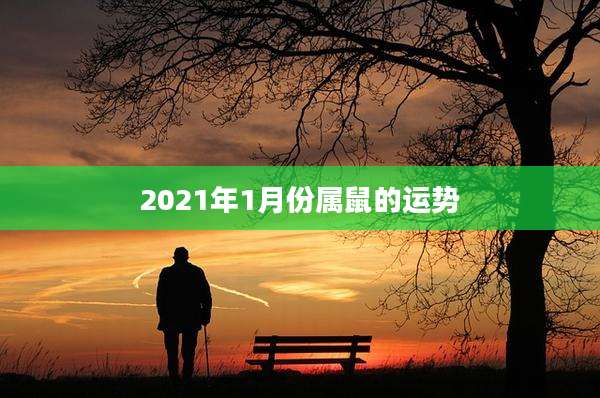 2021年1月份属鼠的运势