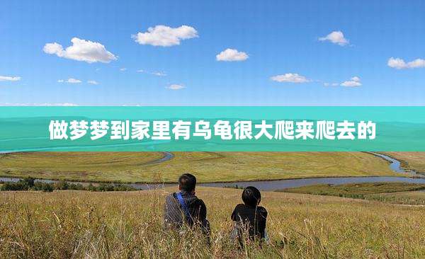 做梦梦到家里有乌龟很大爬来爬去的