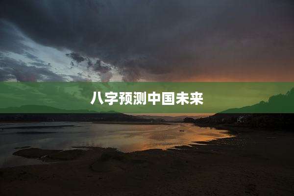八字预测中国未来