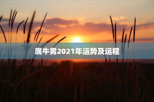 属牛男2021年运势及运程