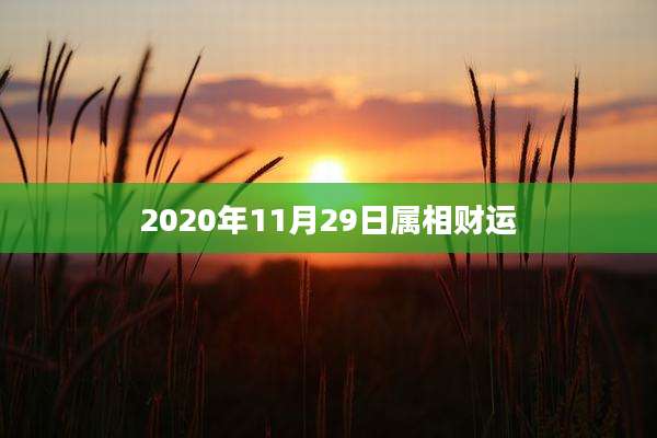 2020年11月29日属相财运