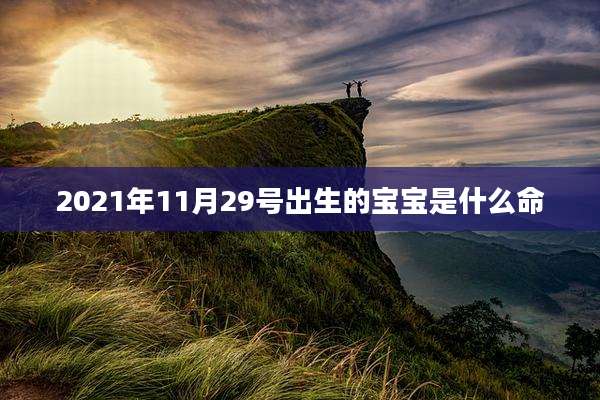 2021年11月29号出生的宝宝是什么命