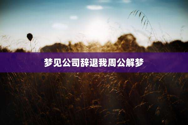 梦见公司辞退我周公解梦