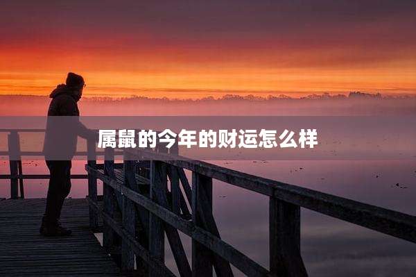 属鼠的今年的财运怎么样