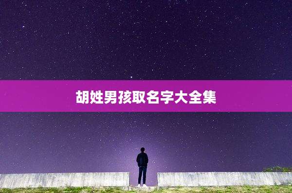 胡姓男孩取名字大全集