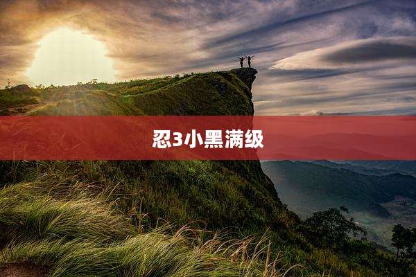 忍3小黑满级