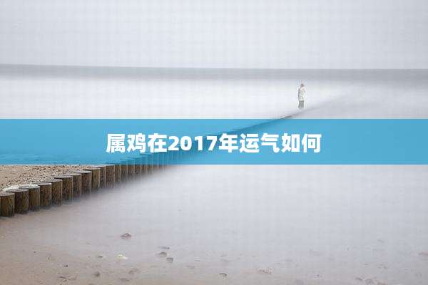 属鸡在2017年运气如何
