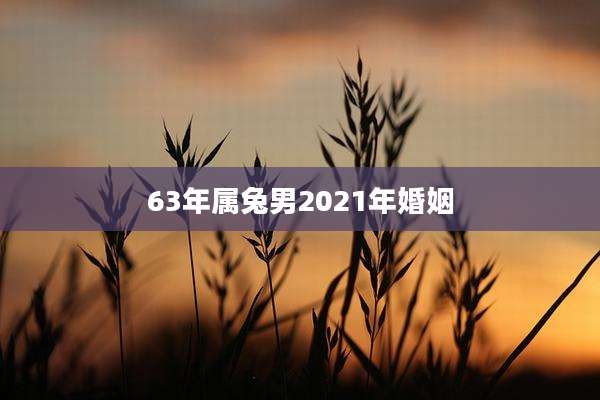 63年属兔男2021年婚姻