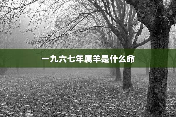 一九六七年属羊是什么命