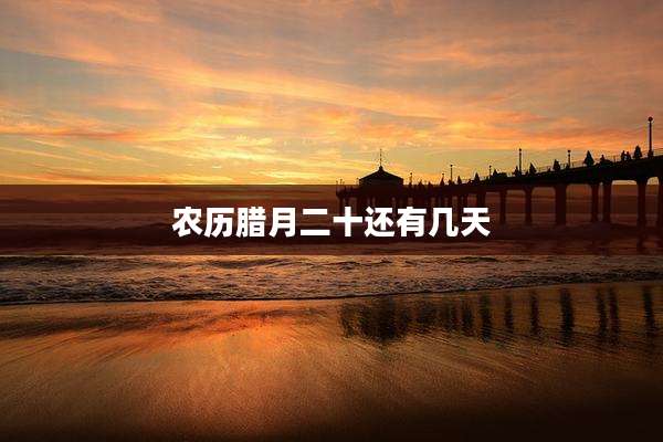 农历腊月二十还有几天