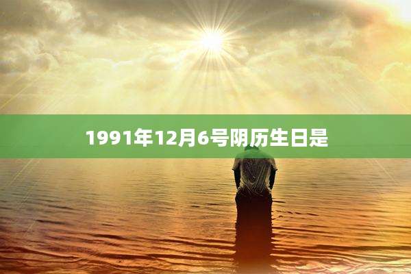 1991年12月6号阴历生日是