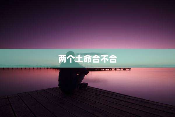 两个土命合不合