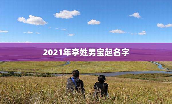 2021年李姓男宝起名字