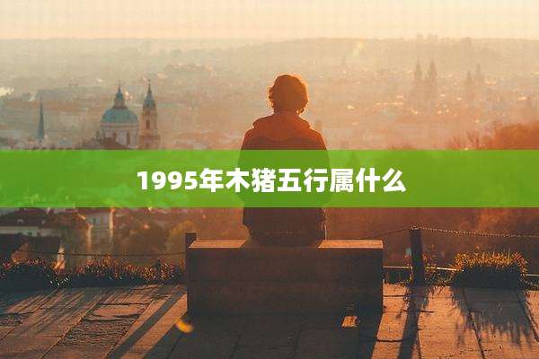 1995年木猪五行属什么
