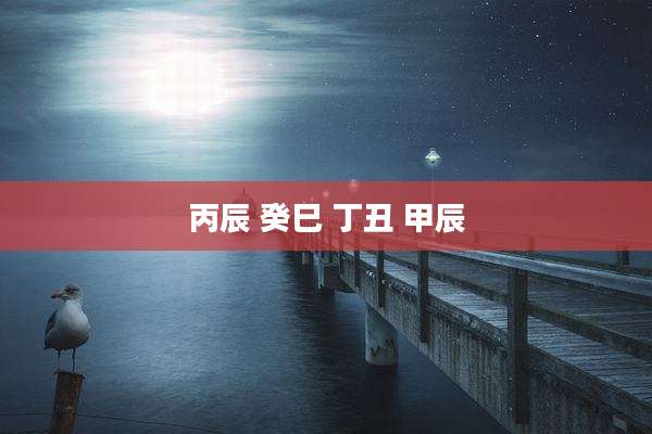 丙辰 癸巳 丁丑 甲辰