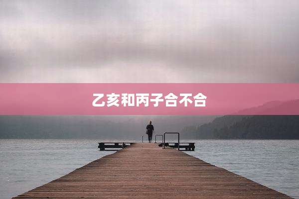 乙亥和丙子合不合