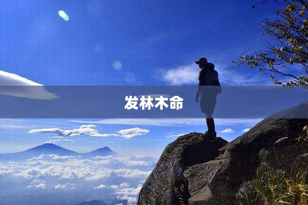 发林木命