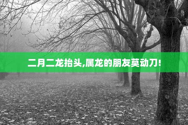 二月二龙抬头,属龙的朋友莫动刀!