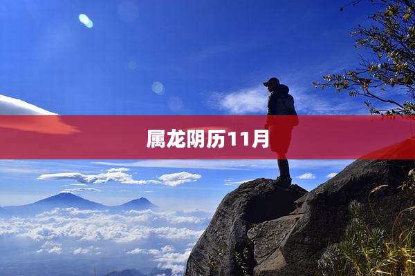 属龙阴历11月