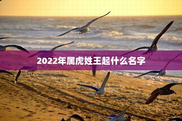 2022年属虎姓王起什么名字