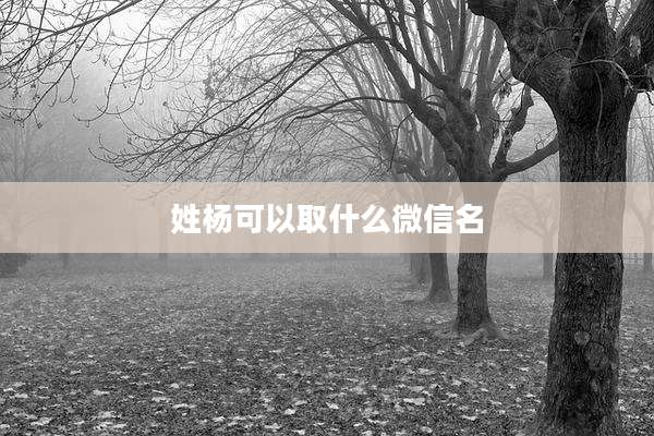 姓杨可以取什么微信名