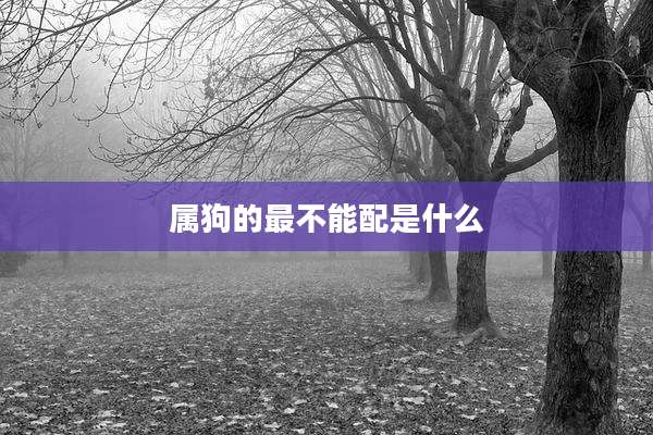 属狗的最不能配是什么