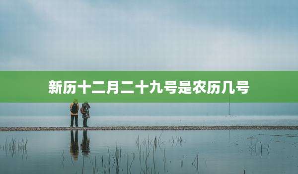 新历十二月二十九号是农历几号