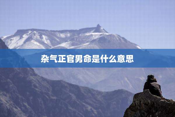 杂气正官男命是什么意思
