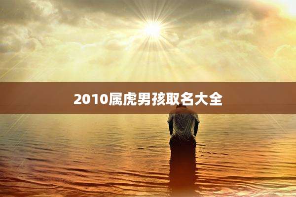 2010属虎男孩取名大全