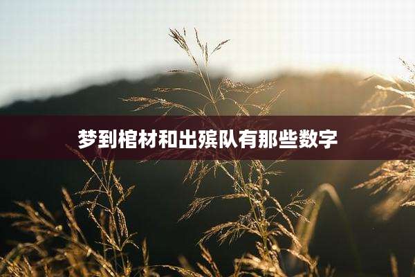 梦到棺材和出殡队有那些数字