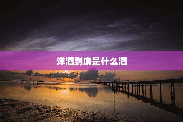 洋酒到底是什么酒