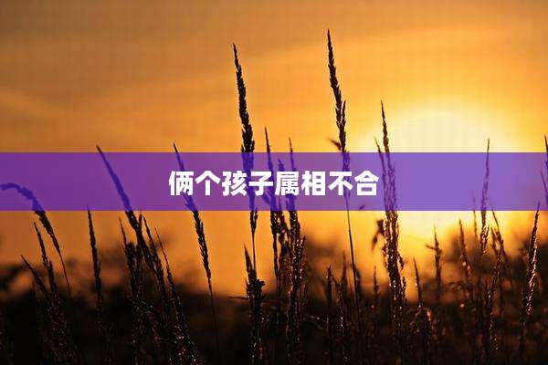 俩个孩子属相不合