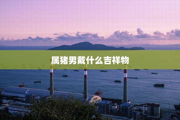 属猪男戴什么吉祥物
