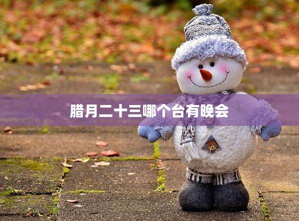 腊月二十三哪个台有晚会