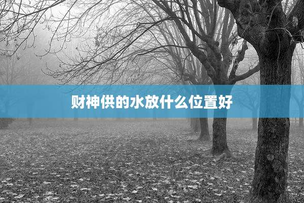 财神供的水放什么位置好