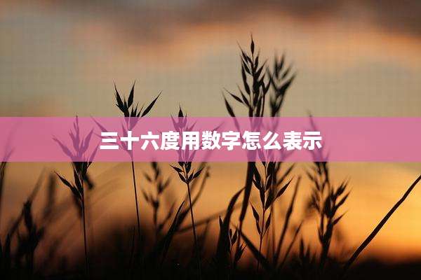 三十六度用数字怎么表示