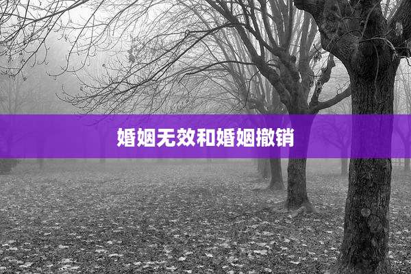 婚姻无效和婚姻撤销