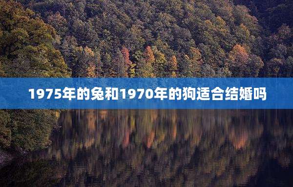 1975年的兔和1970年的狗适合结婚吗