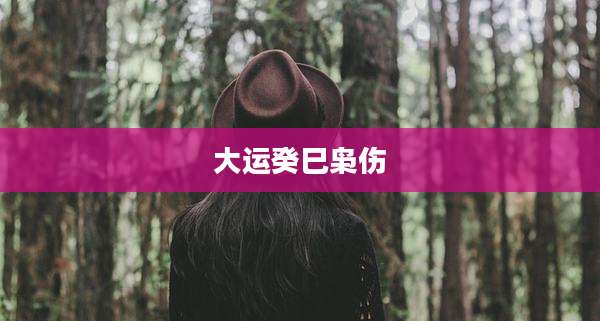 大运癸巳枭伤