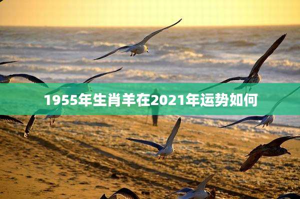 1955年生肖羊在2021年运势如何
