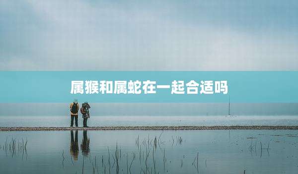 属猴和属蛇在一起合适吗