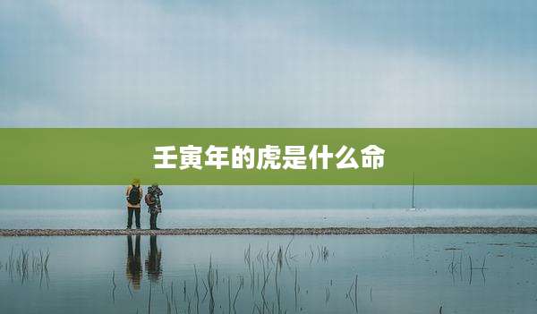 壬寅年的虎是什么命